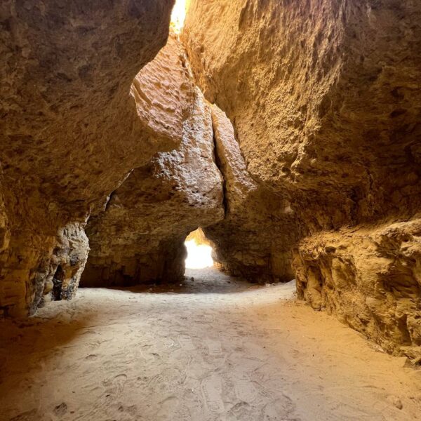 46fe55fe-cdd5-4666-8867-acf6f0fad169