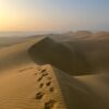 Rayyan Valley Safari - Image 7