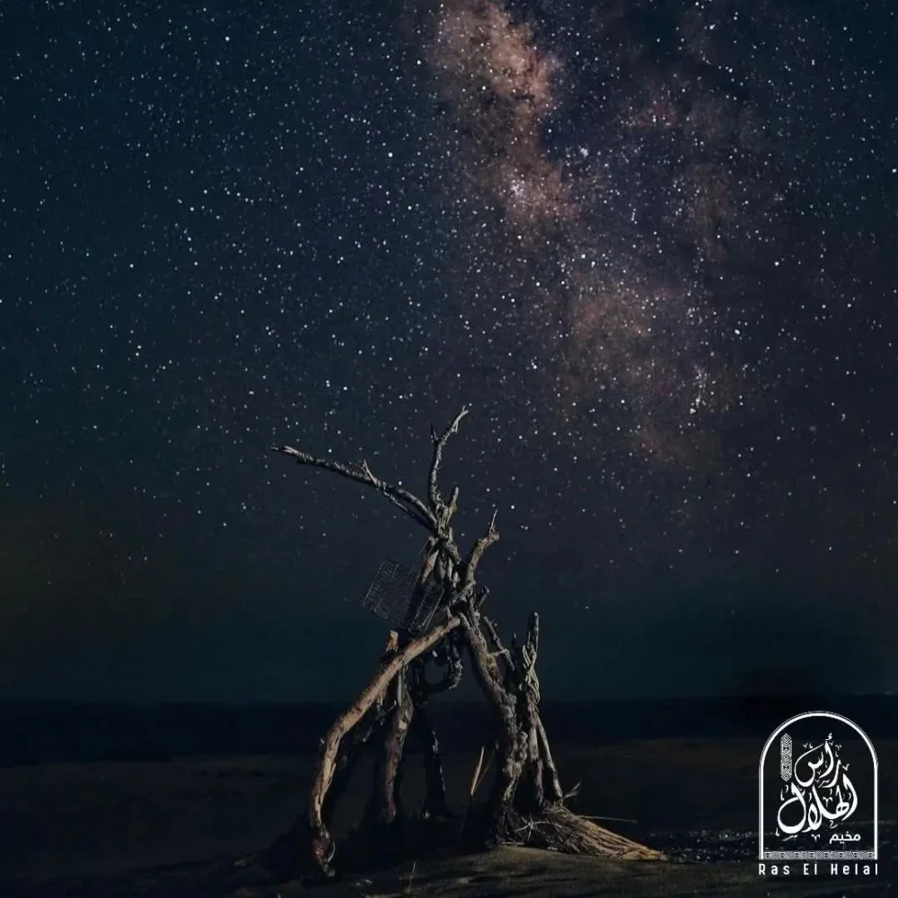 Ras al-Hilal camp - Image 7