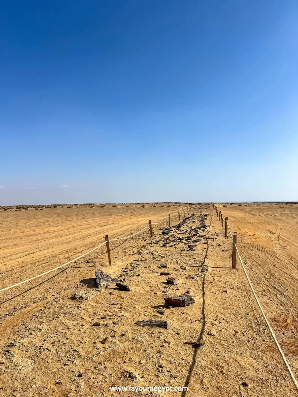 Safari trip to Karun Reserve - Image 3