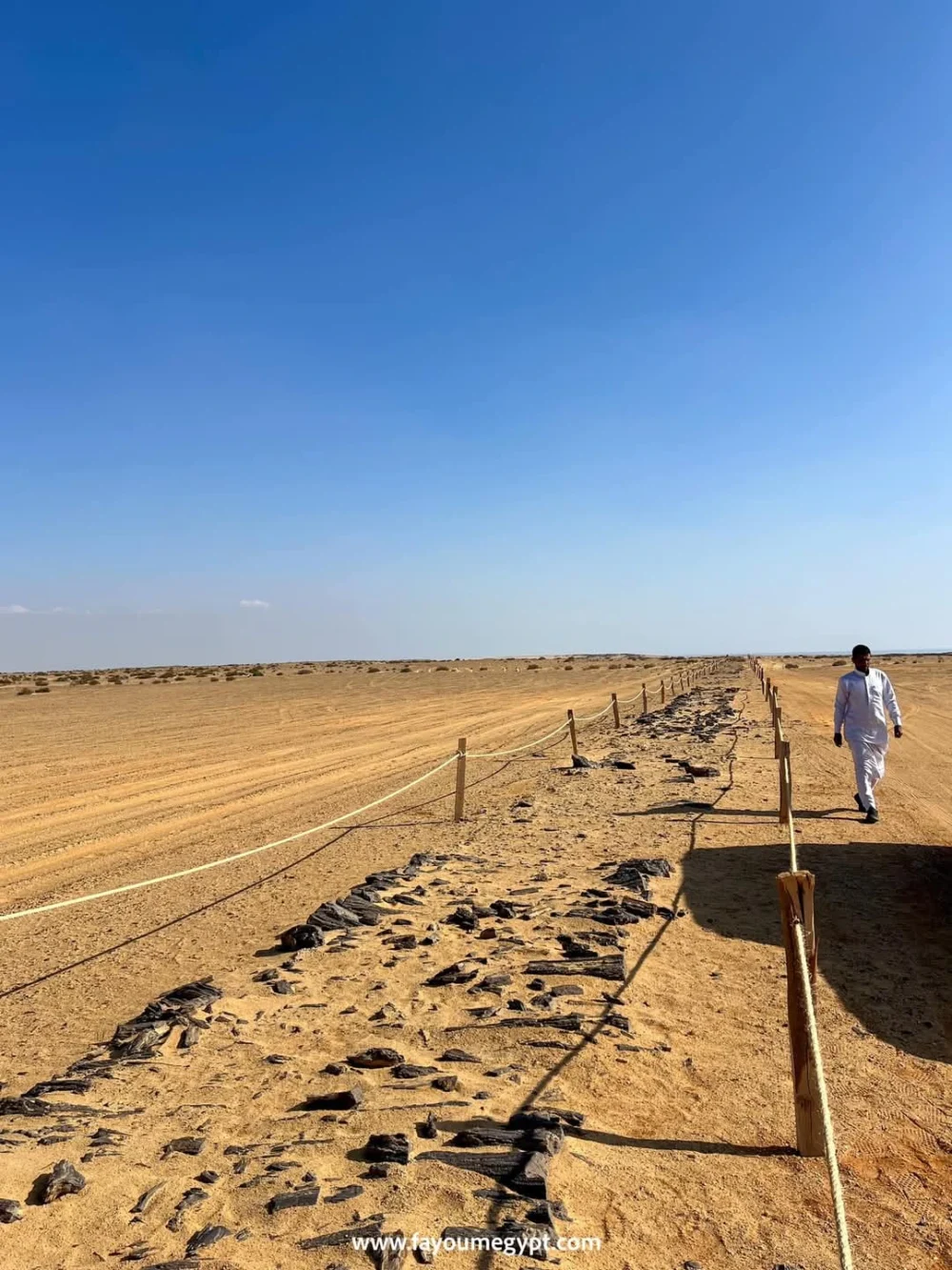 Safari trip to Karun Reserve - Image 4