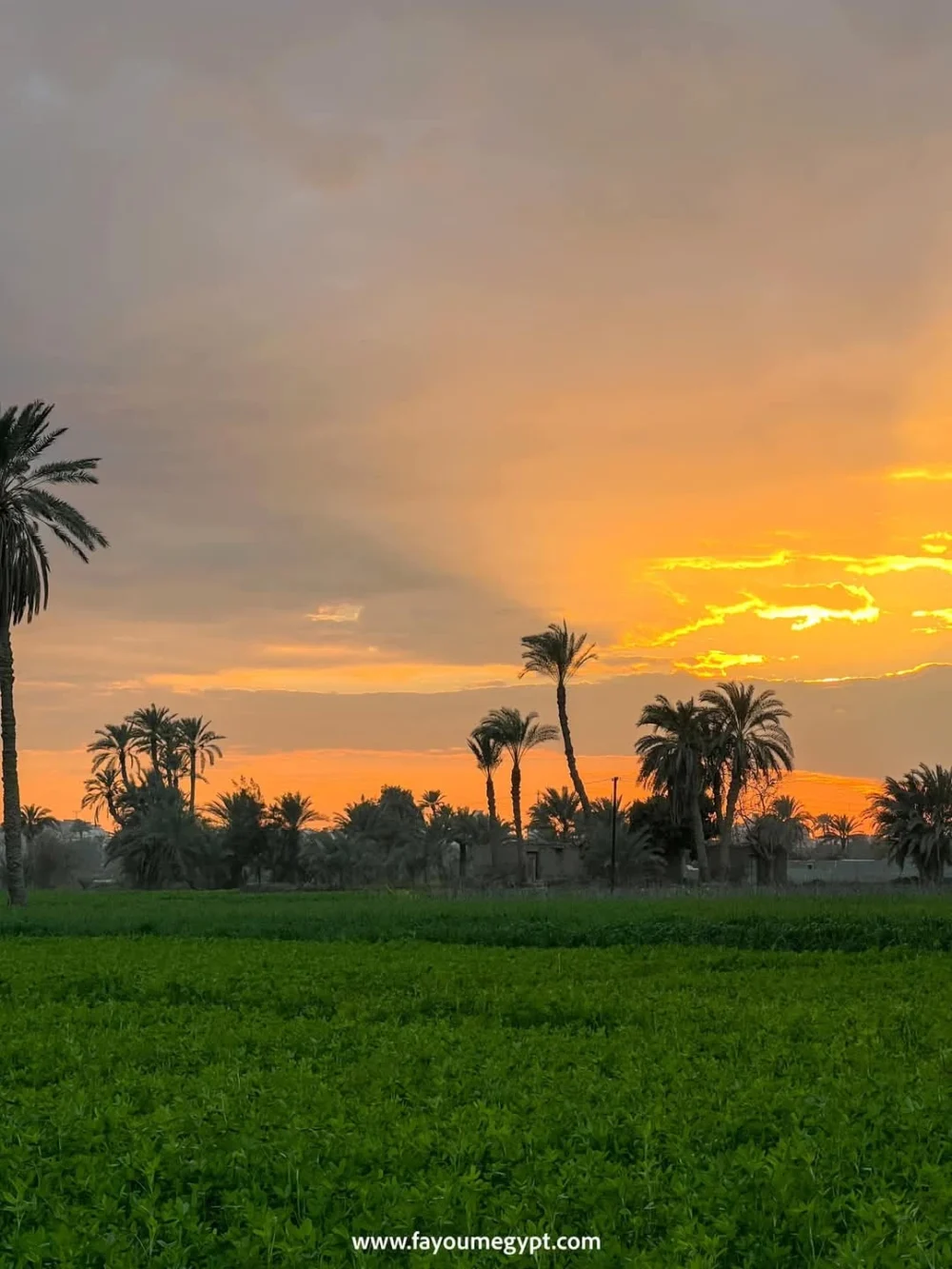 Tour Tour Program in Tunis Village - Image 17