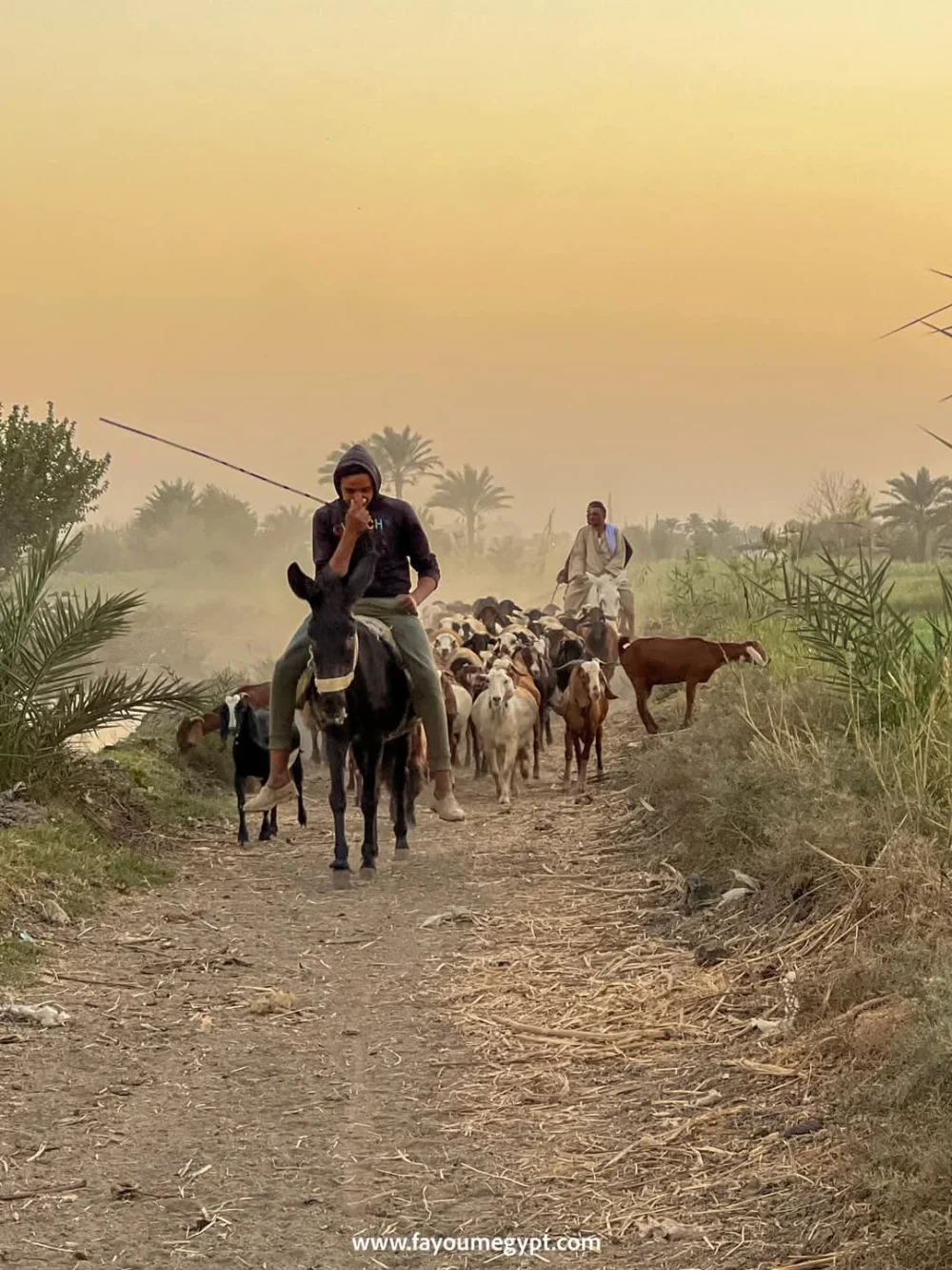 Tour Tour Program in Tunis Village - Image 19