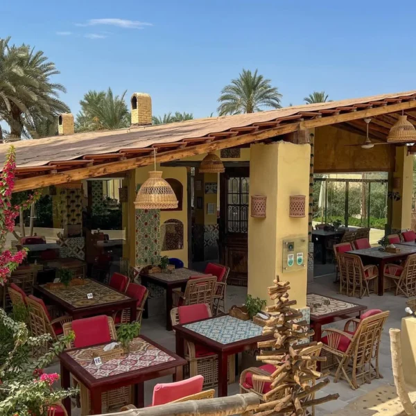 FB_IMG_1739819670238