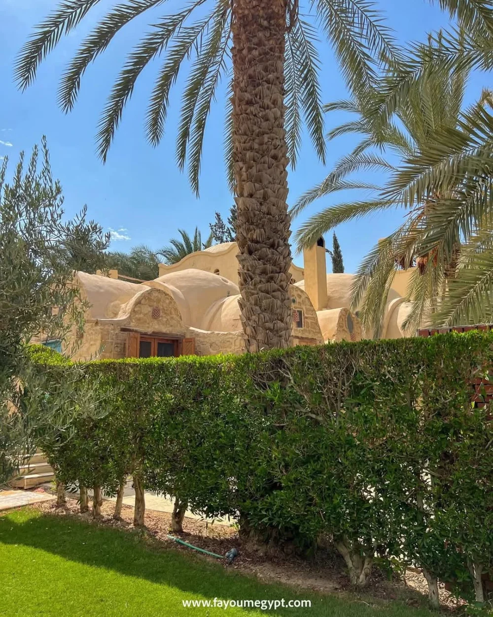 Tour Tour Program in Tunis Village - Image 10