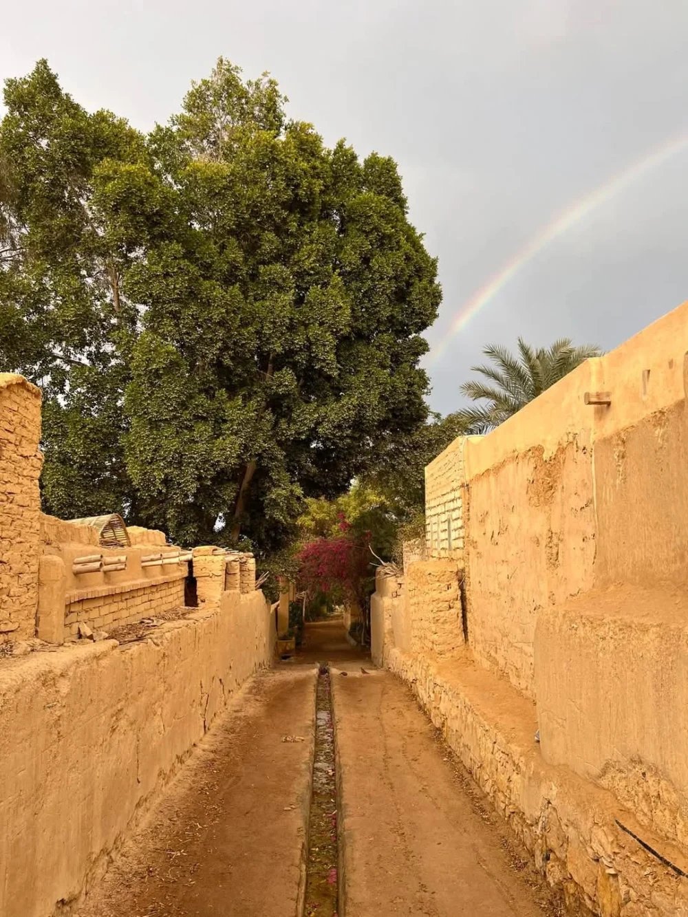 Tour Tour Program in Tunis Village - Image 7