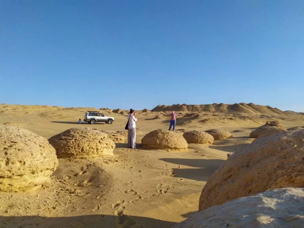 Safari trip to Karun Reserve - Image 13