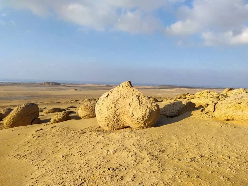 Safari trip to Karun Reserve - Image 14