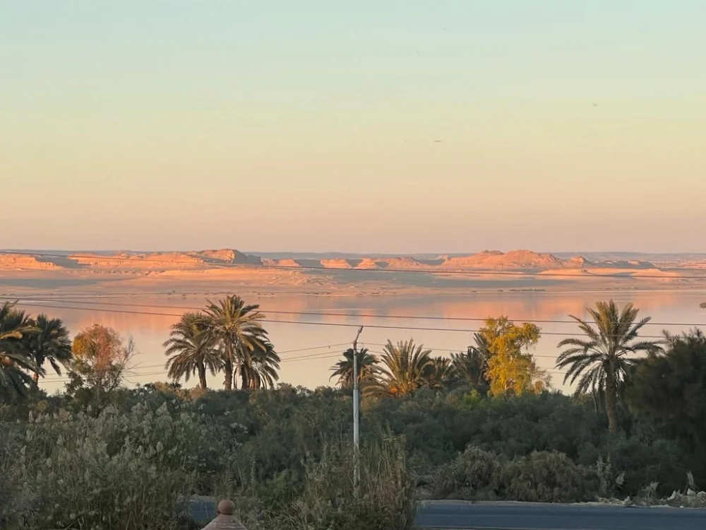 Villa Kian Tunisia - Image 4