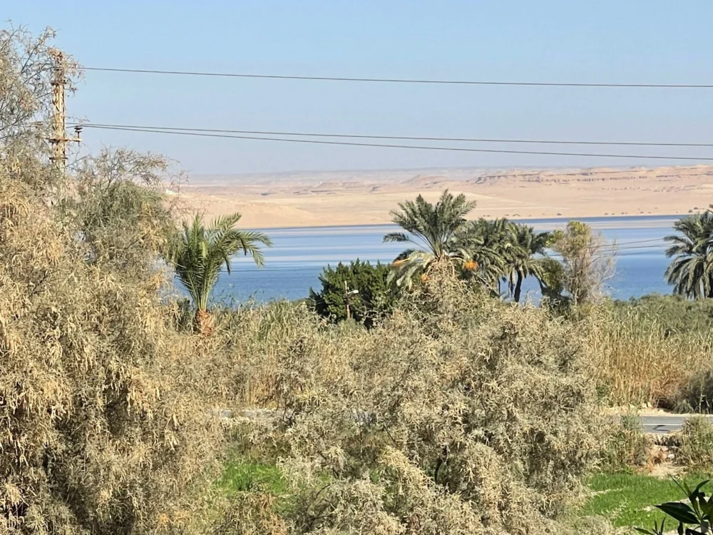 Villa Kian Tunisia - Image 5