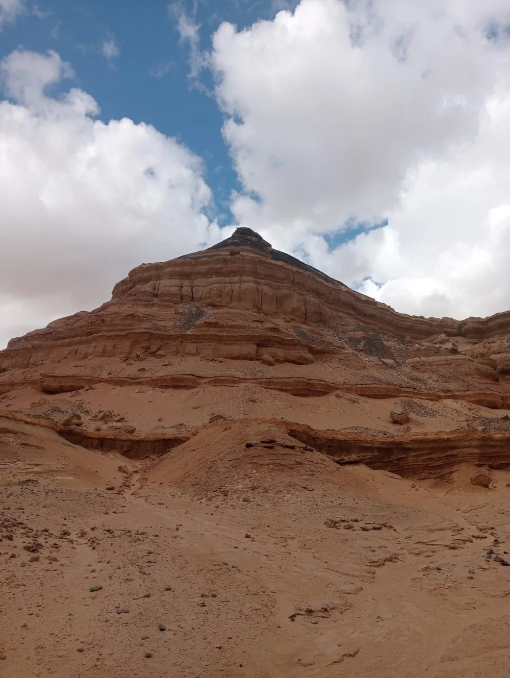 Safari trip to Karun Reserve - Image 16