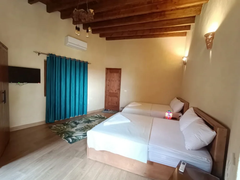 Villa Tunisia Bloom - Image 4