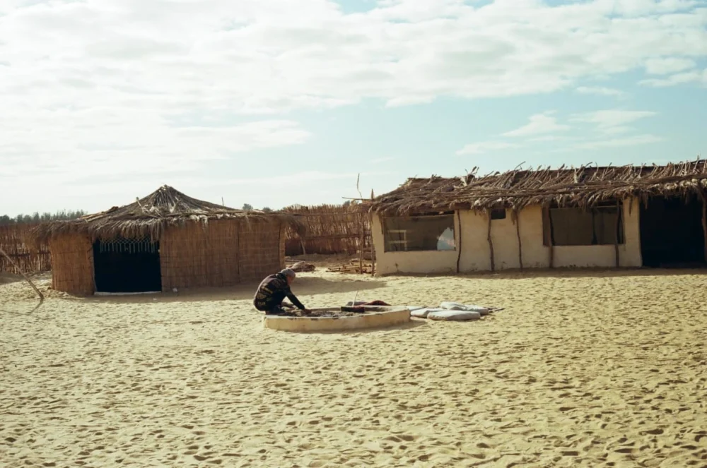 Telal Camp - Image 7