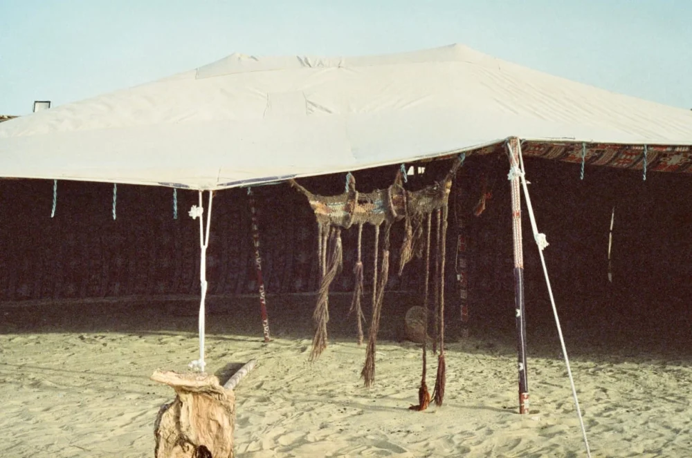 Telal Camp - Image 8