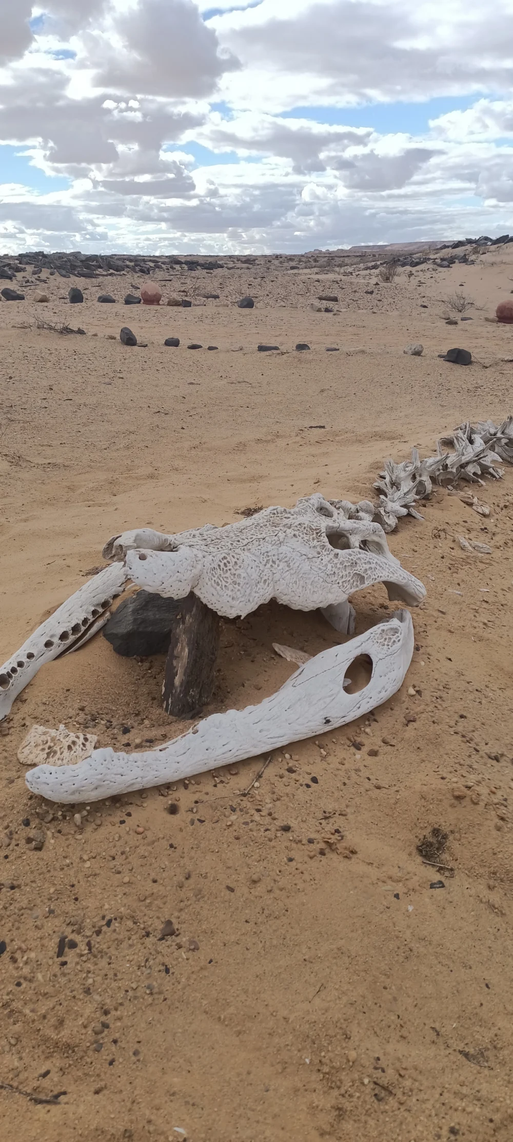 Safari trip to Karun Reserve