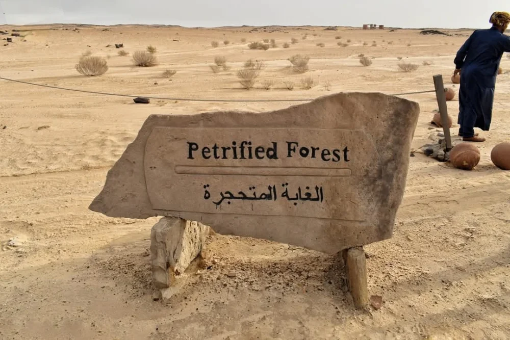 Safari trip to Karun Reserve - Image 11