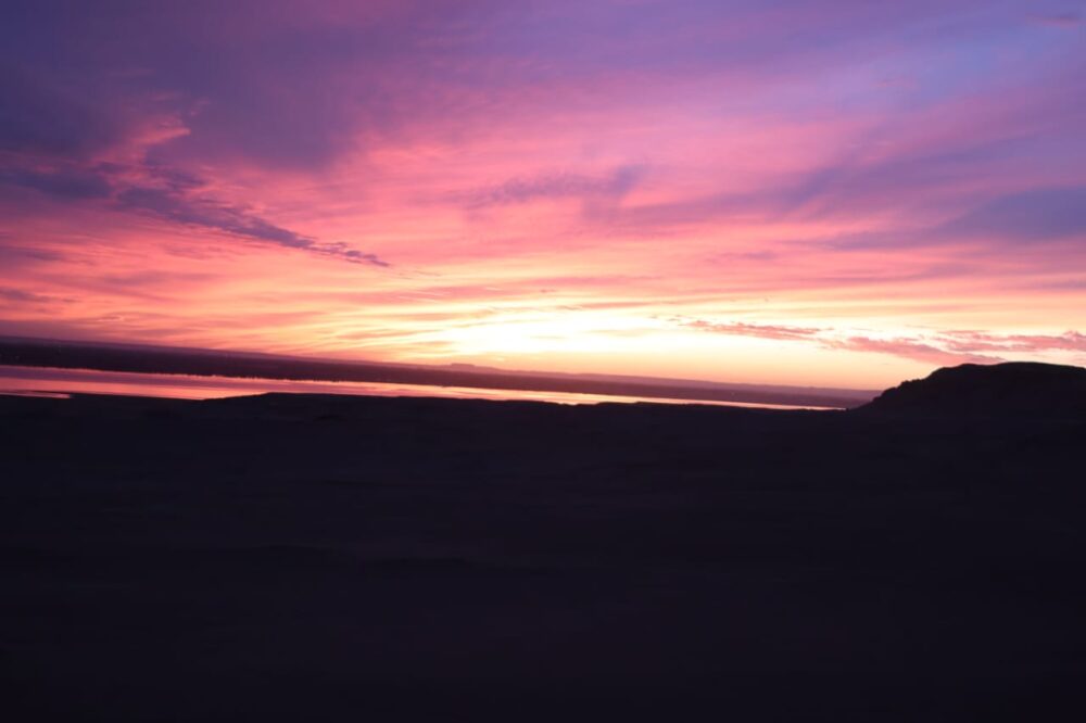 for a day trip - Image 11