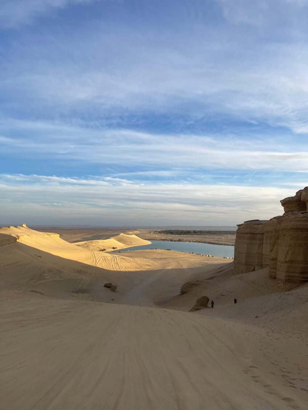 for a day trip - Image 13